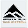 SEG - Minera Escondida